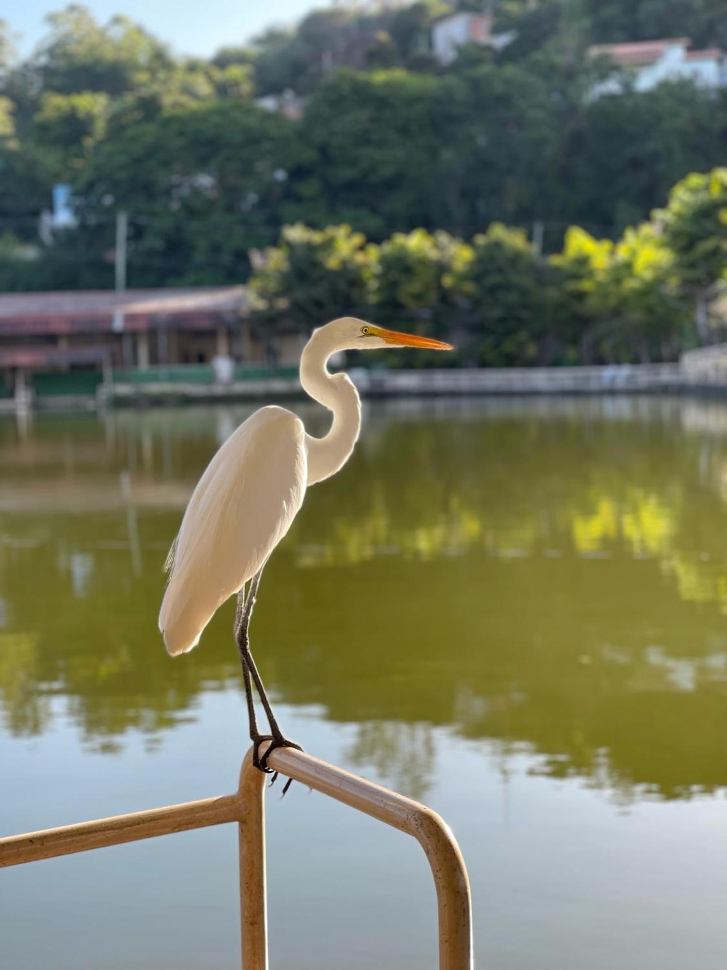 Guararema Parque Hotel المظهر الخارجي الصورة